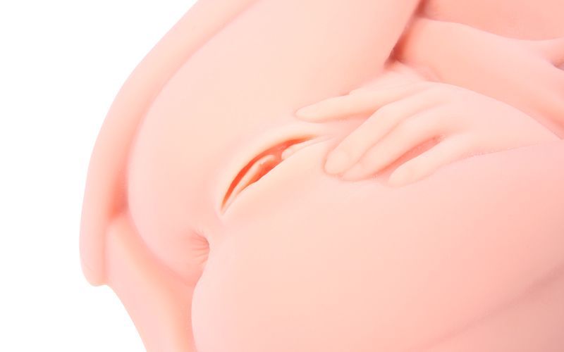 Masturbator Hera3 Body Querschnitt aus Silikon